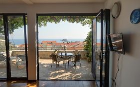 Apartments Minja Nerin